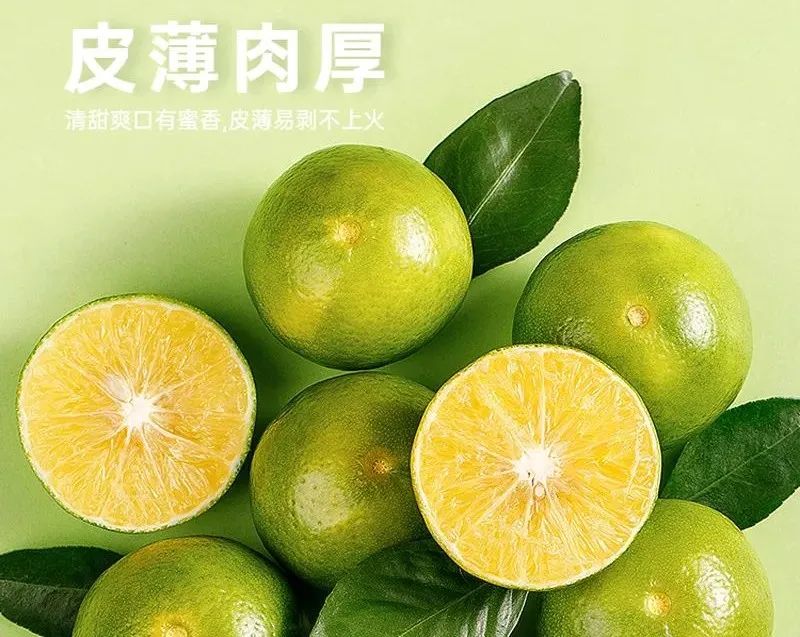 海睿数字果园德庆贡柑5.jpg 海睿数字果园德庆贡柑5.jpg